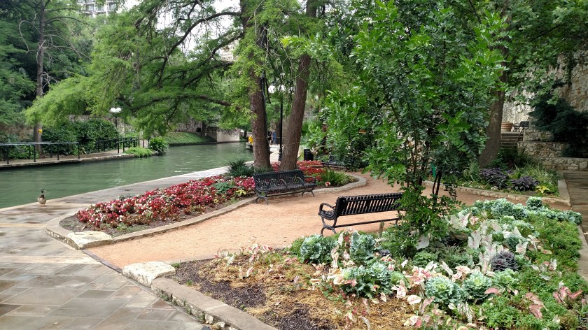 IMG_20170517_110040192