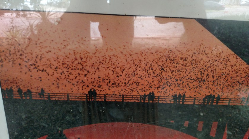 IMG_20170522_135516086