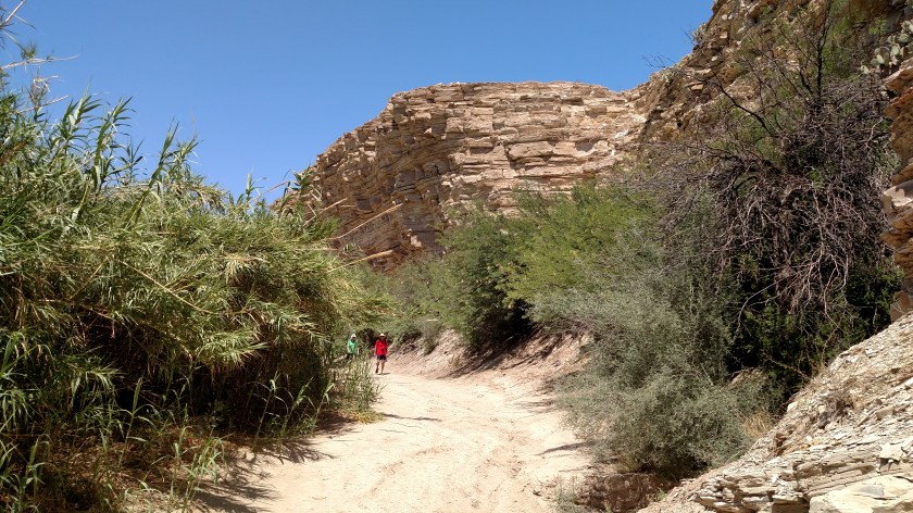 IMG_20170524_122655608