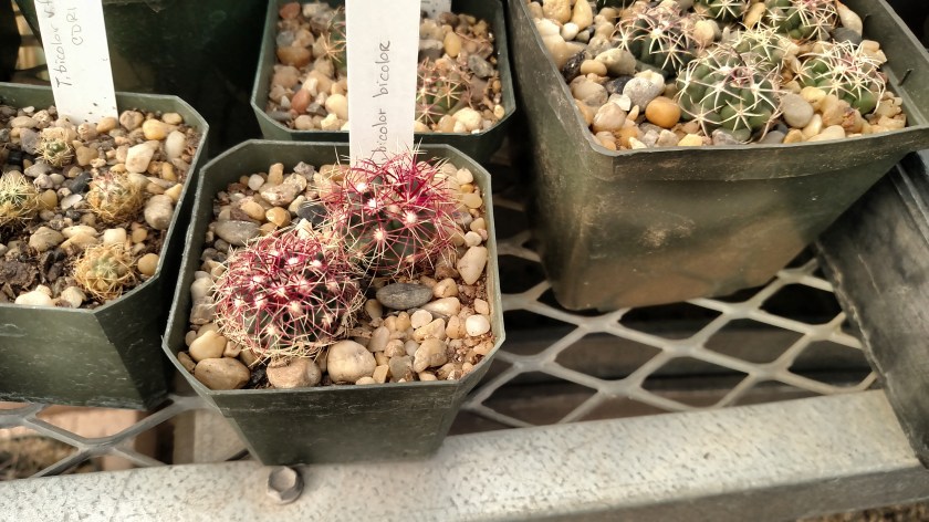 IMG_20170525_093539112