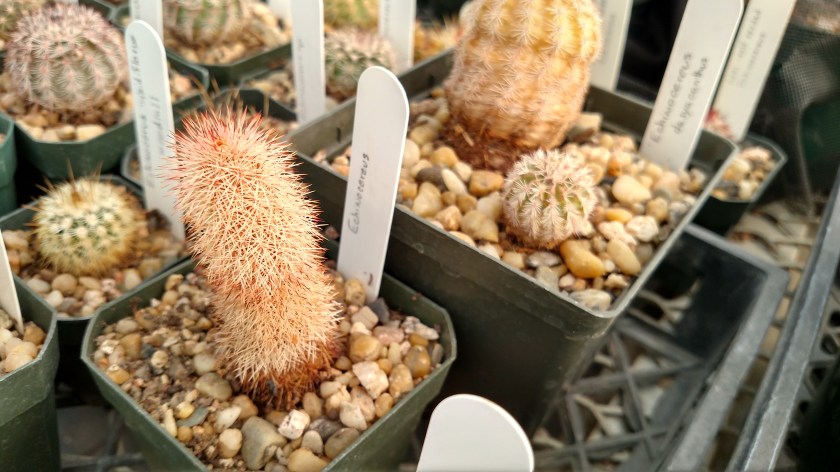 IMG_20170525_093657532_HDR