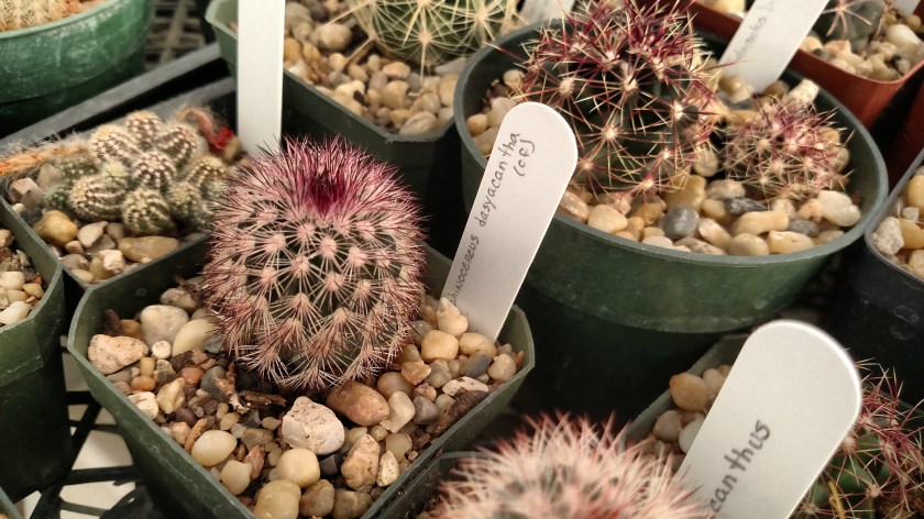 IMG_20170525_093730676