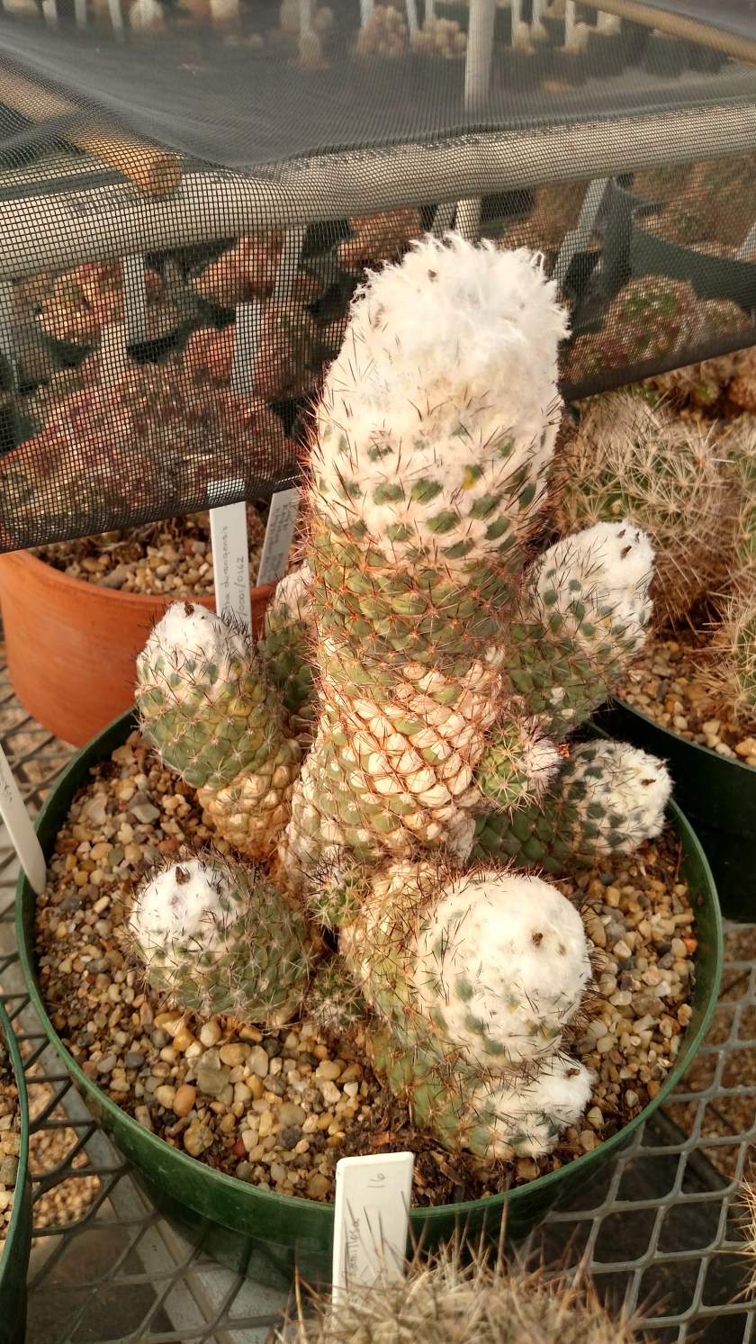 IMG_20170525_093818636_HDR