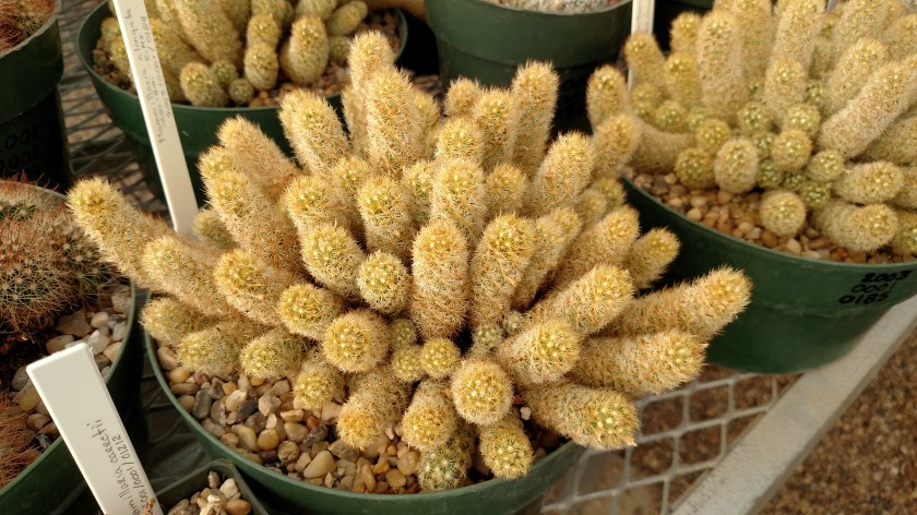 IMG_20170525_093947428