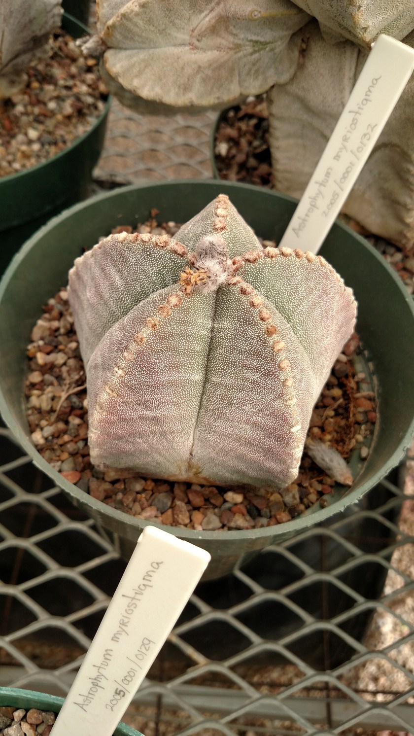 IMG_20170525_094315121