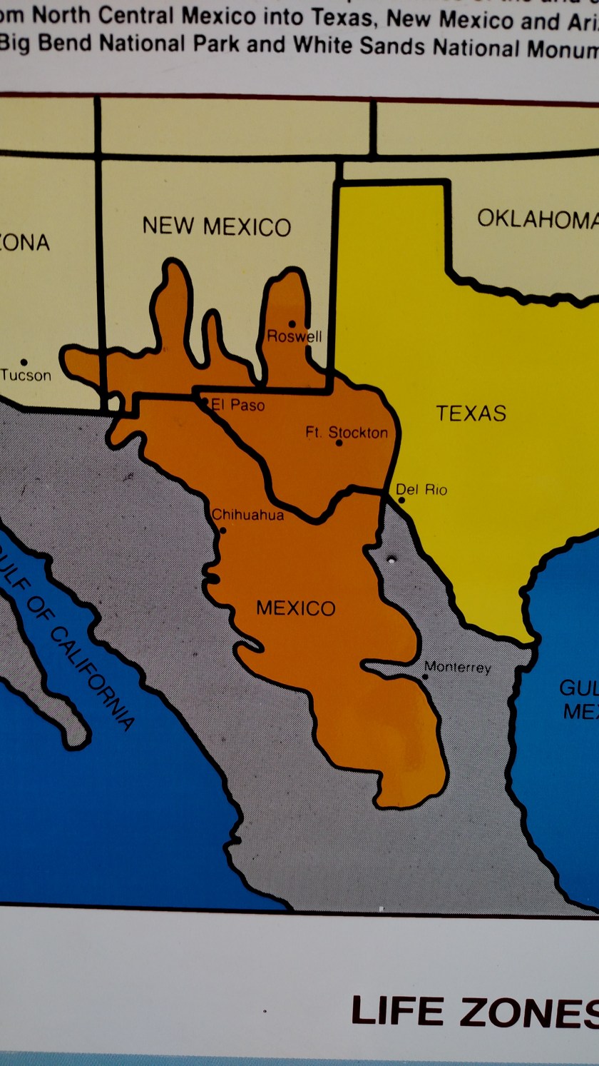 IMG_20170525_095735959