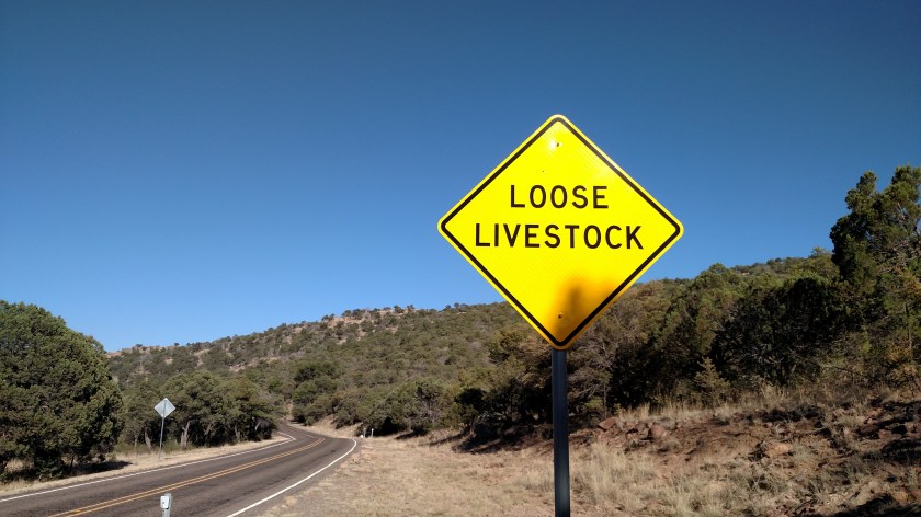 IMG_20170523_184453802