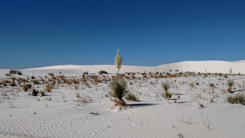 IMG_20170527_084530281