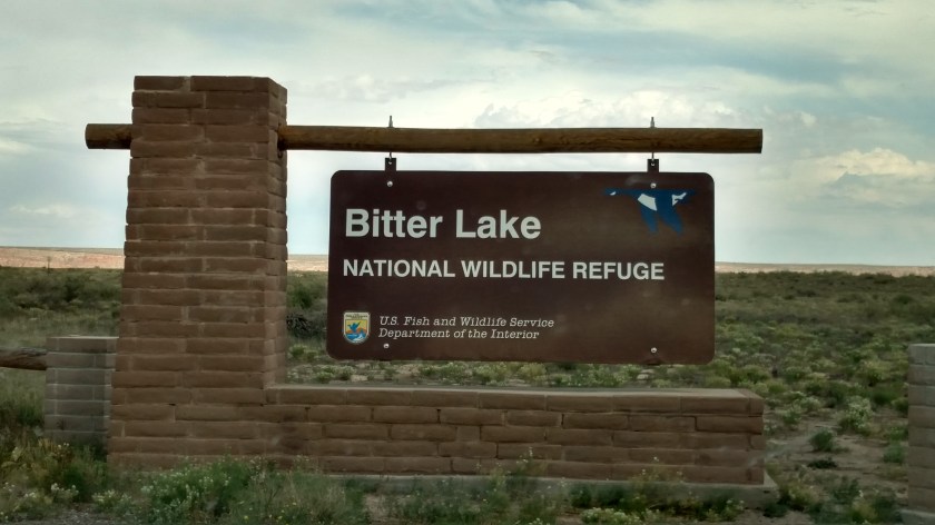 IMG_20170530_154942288_HDR