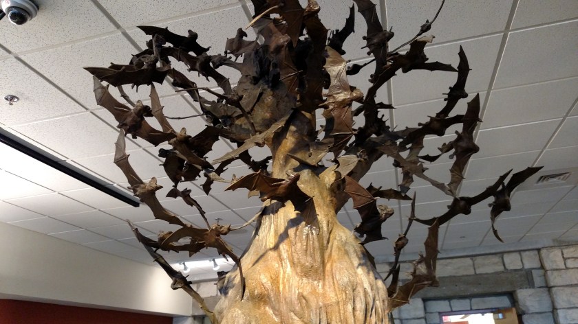 IMG_20170531_100426973