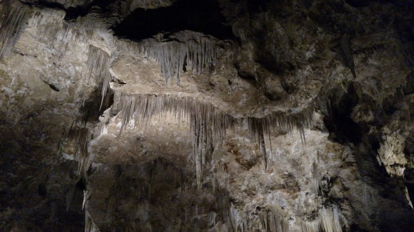 IMG_20170531_112921689