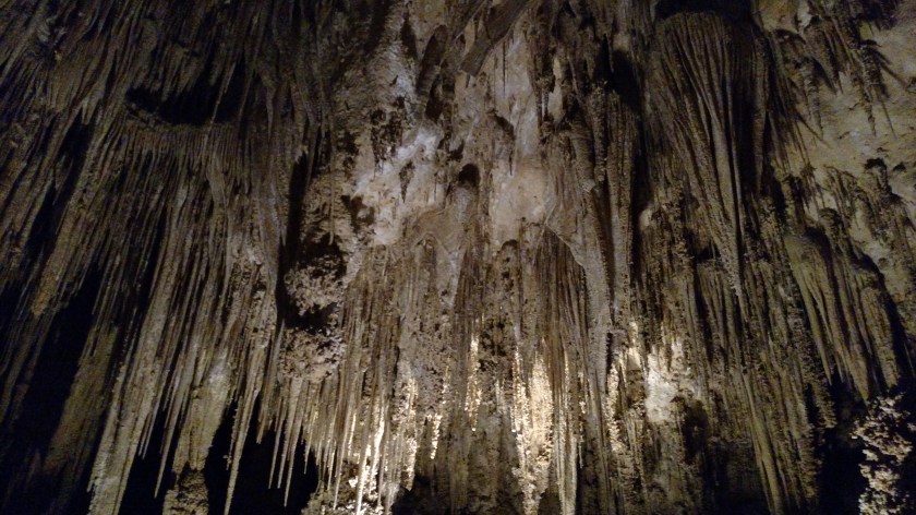 IMG_20170531_121404381