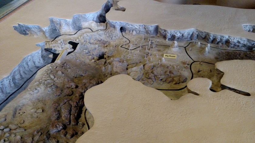 IMG_20170531_141702454