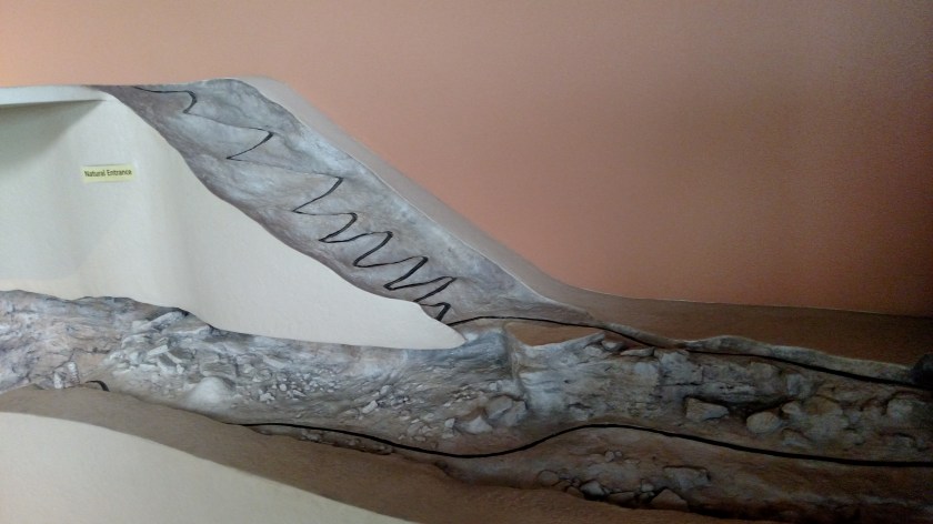 IMG_20170531_141750217