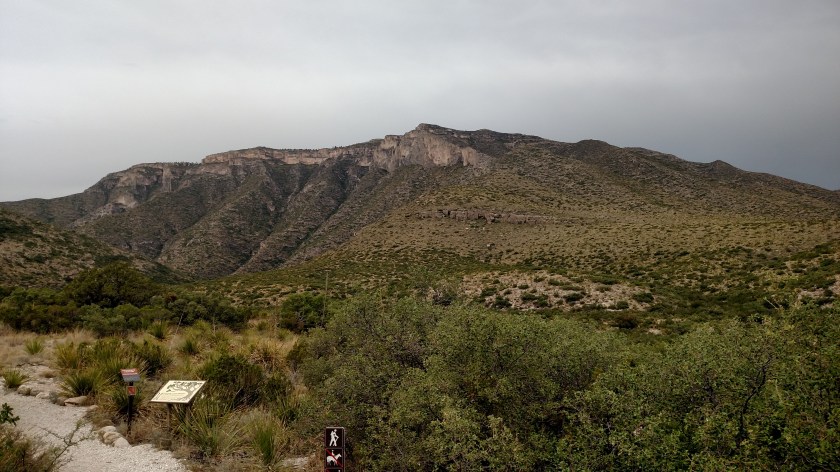 IMG_20170531_163348692