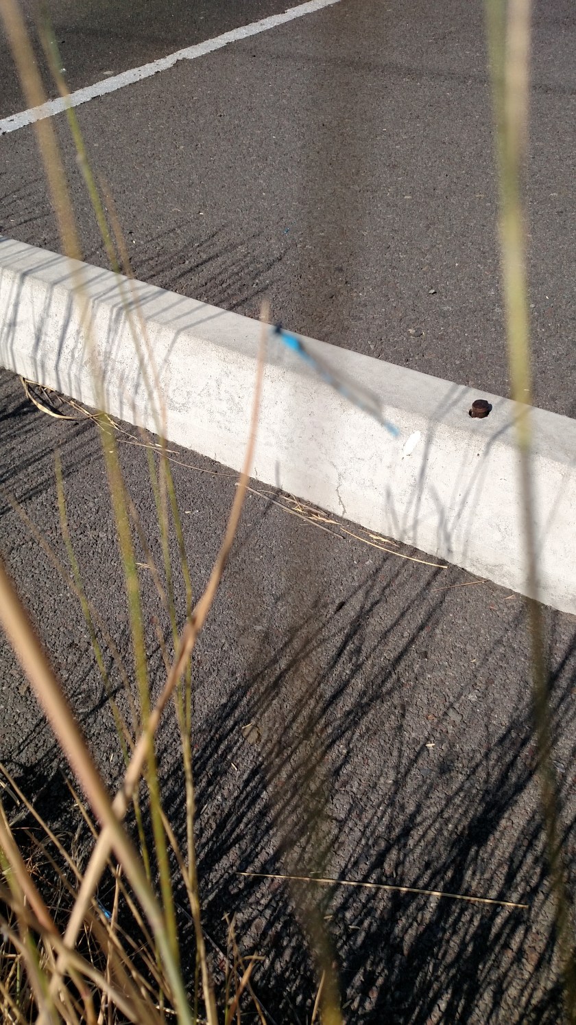 IMG_20180721_095411623