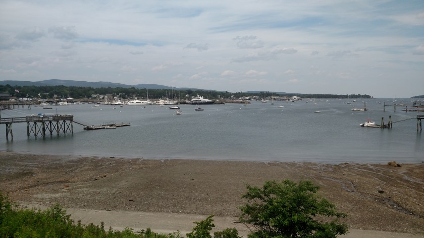 IMG_20190709_132916318