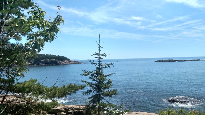 IMG_20190710_114216000_HDR