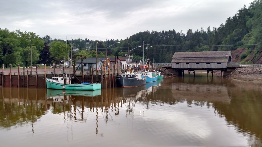 IMG_20190713_075032284_HDR