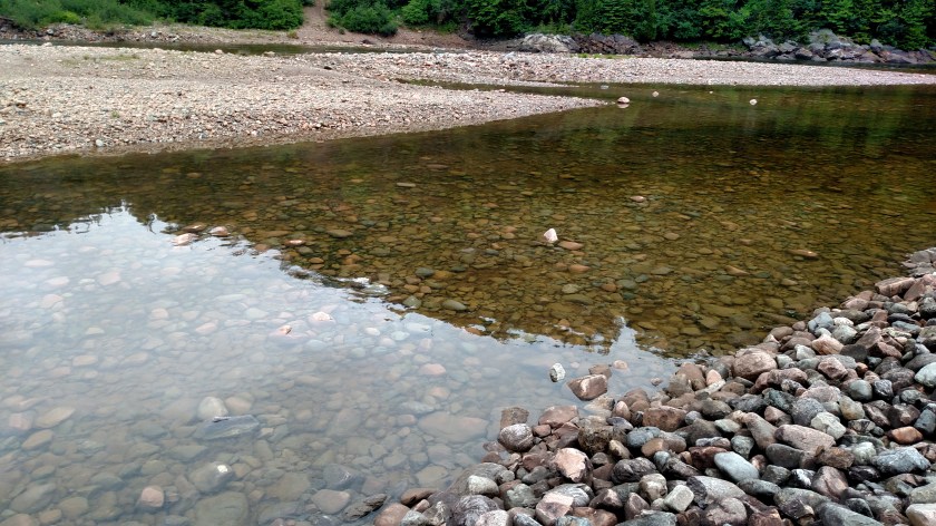 IMG_20190713_085110294