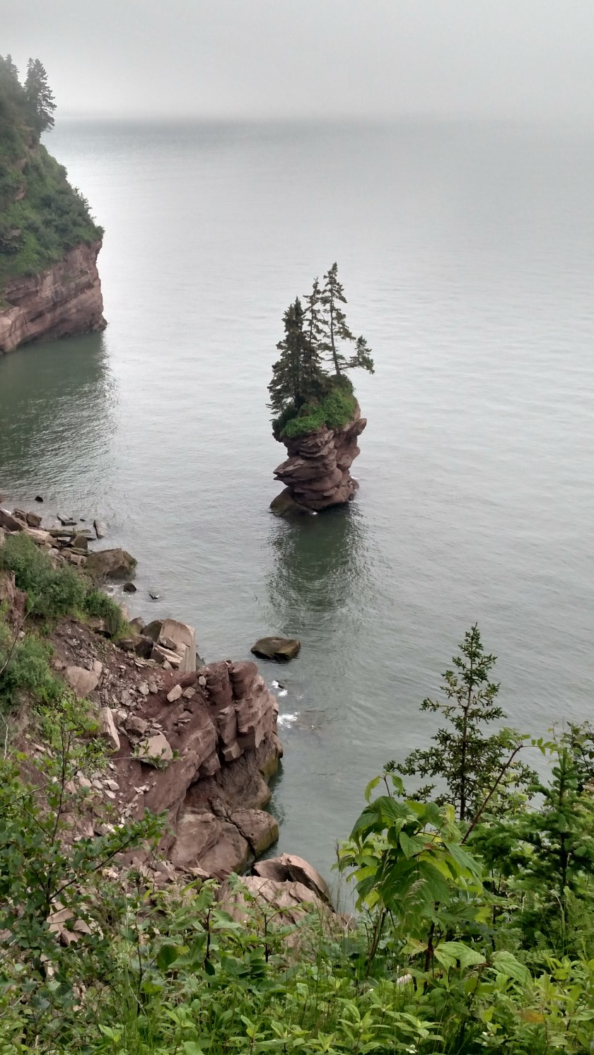 IMG_20190713_100810658_HDR