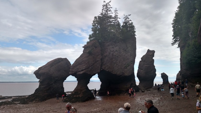 IMG_20190713_160713833_HDR