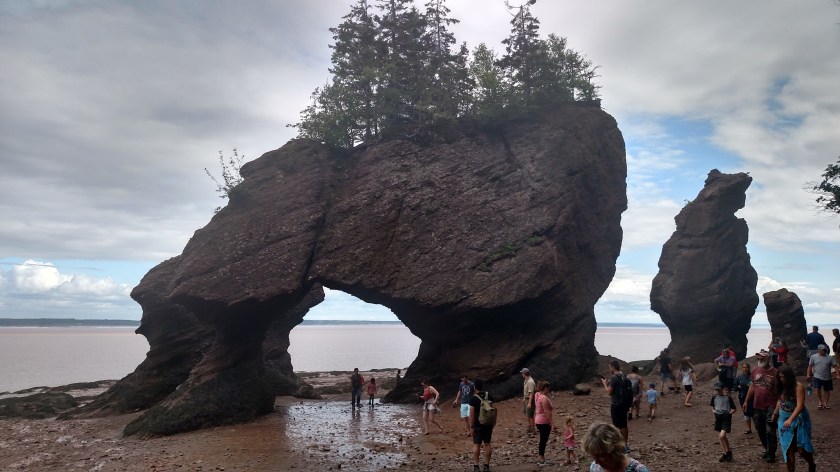 IMG_20190713_160811119_HDR