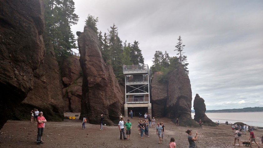 IMG_20190713_160926463_HDR