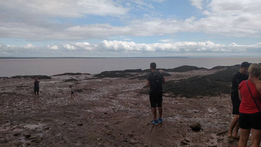 IMG_20190713_161049032