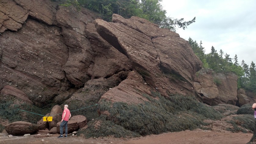 IMG_20190713_162036309_HDR