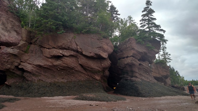 IMG_20190713_162246046_HDR