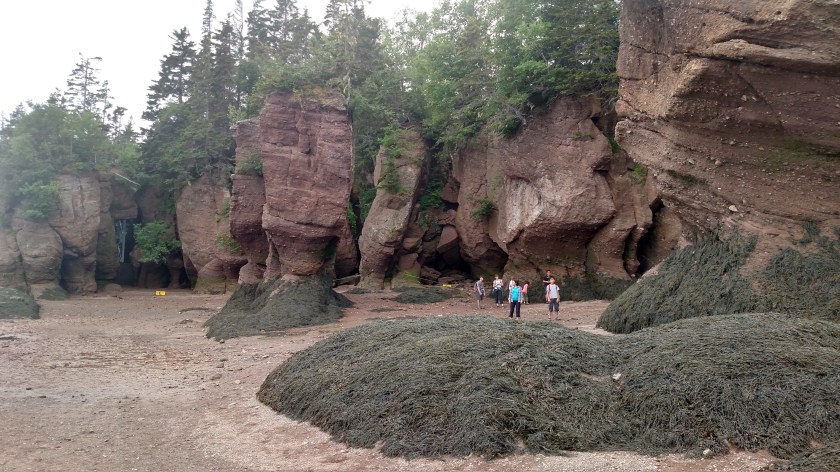 IMG_20190713_162251637_HDR