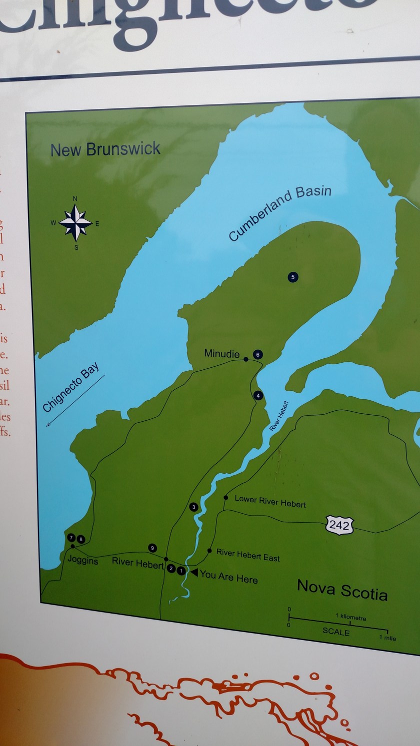 IMG_20190714_100846904