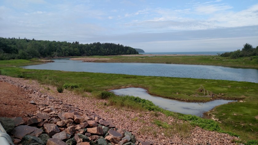 IMG_20190714_104727771