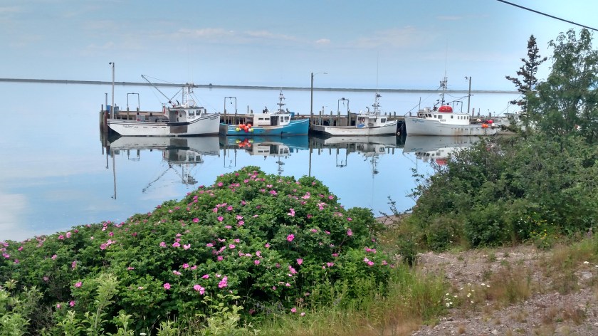 IMG_20190714_111920343_HDR