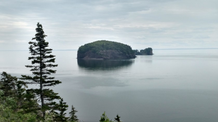 IMG_20190714_131456222_HDR