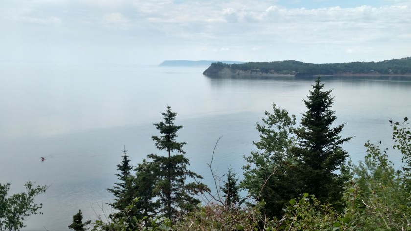 IMG_20190714_131503897_HDR