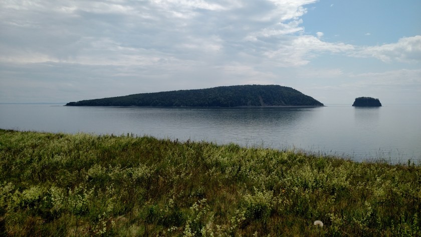 IMG_20190714_135543593