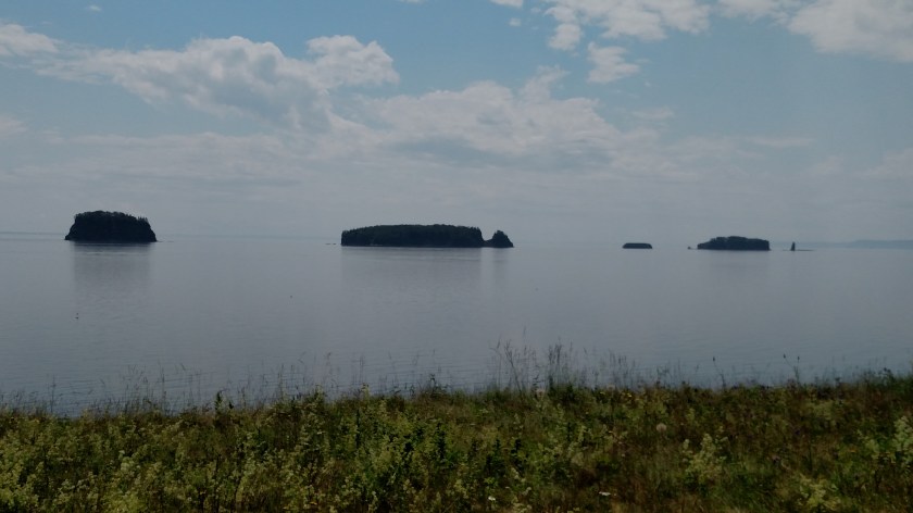 IMG_20190714_135604722