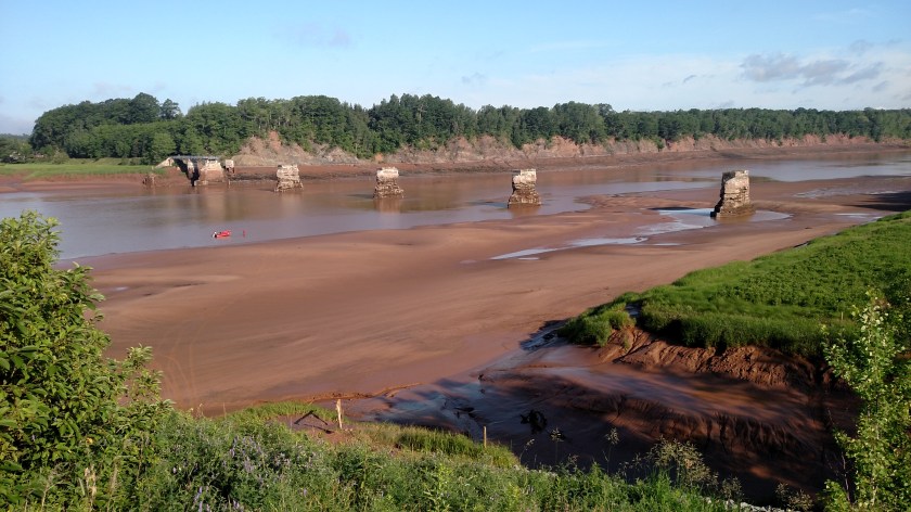 IMG_20190715_081829861