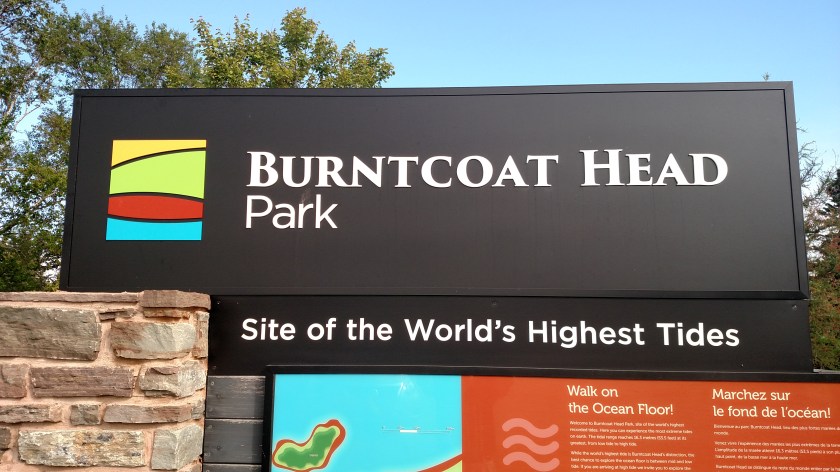 IMG_20190715_085613615