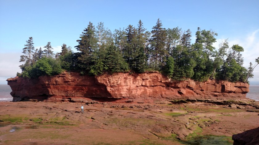 IMG_20190715_090049019