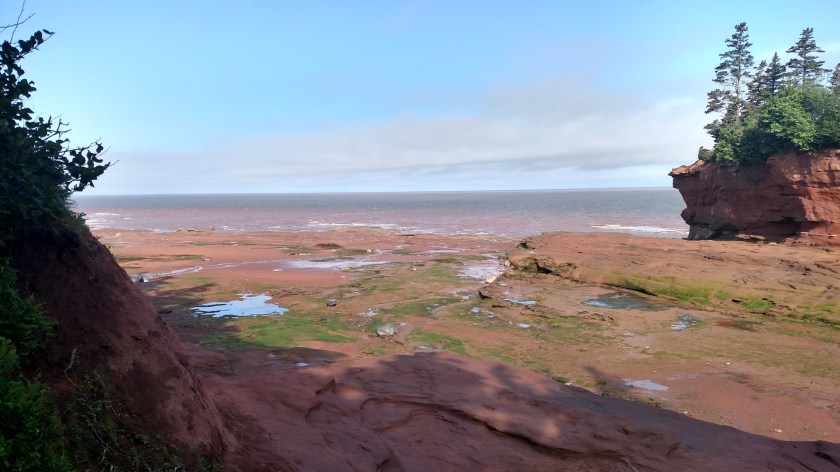 IMG_20190715_090124518_HDR