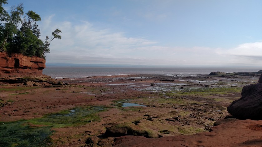 IMG_20190715_090146634