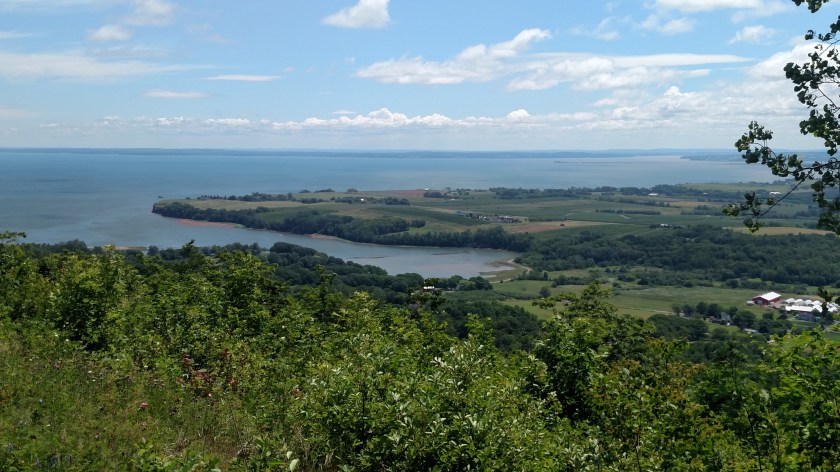 IMG_20190715_123153167