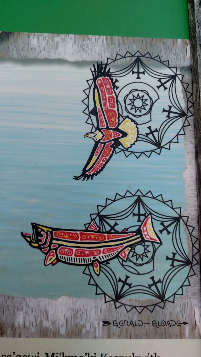 IMG_20190716_101140614