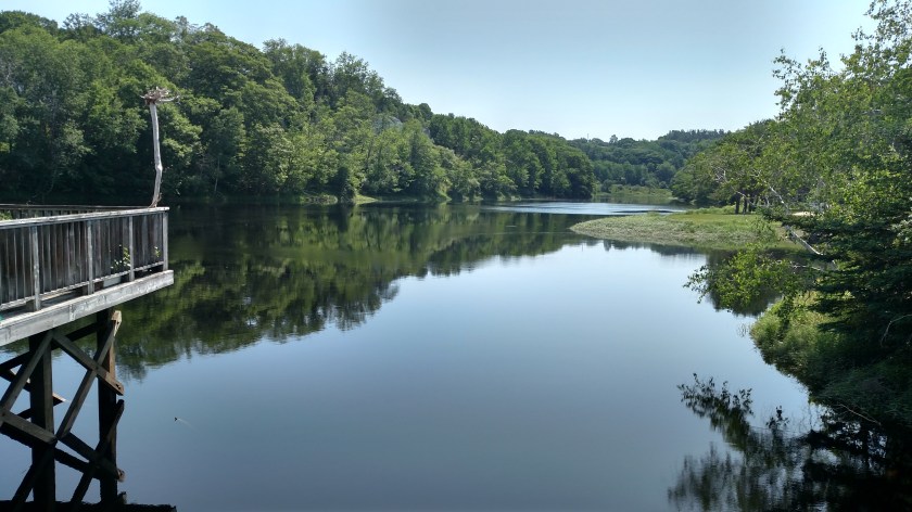 IMG_20190716_120951282_HDR