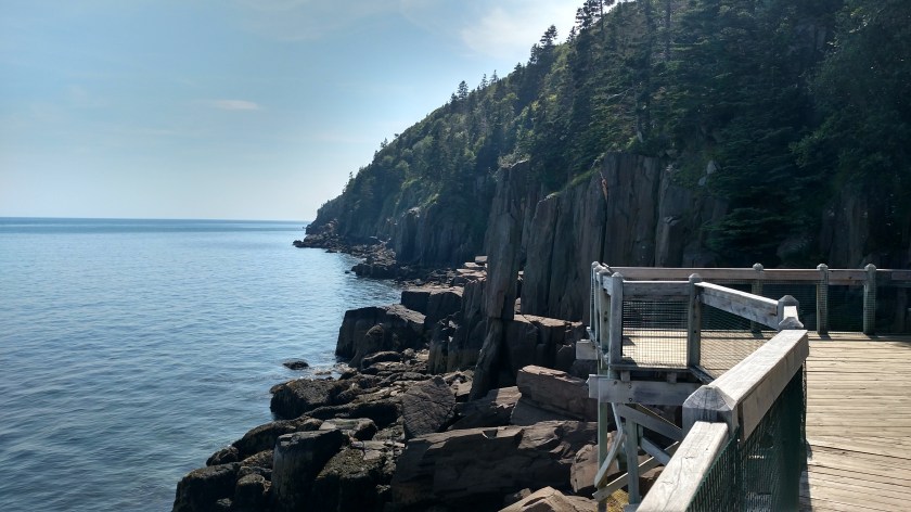 IMG_20190716_153123496_HDR