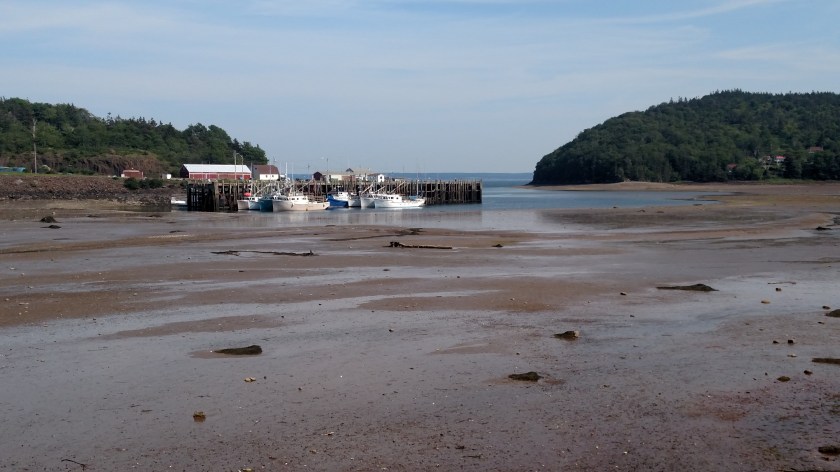 IMG_20190716_165534434