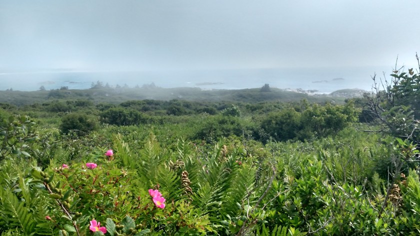 IMG_20190717_104428707_HDR